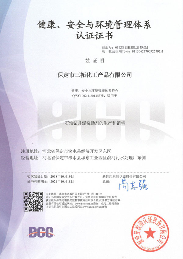 中石油HSE中文